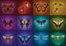 Alternative view 2 of Winged Things 1000 piece puzzle