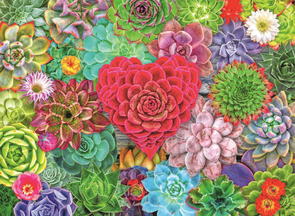 For the Love of Succulents 500 pc puzzle