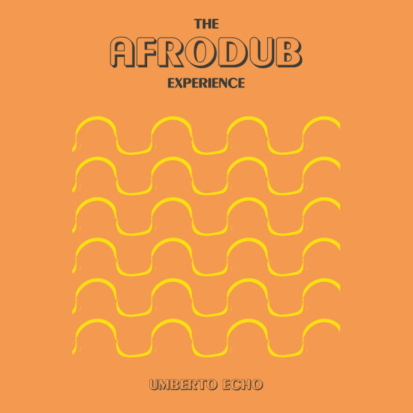 The Afrodub Experience