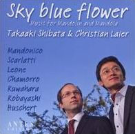 Sky Blue Flower