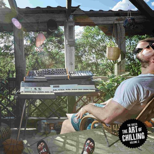 The Art of Chilling, Vol. 2