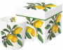 Lemon Musee Gift Boxed Mug New Bone China White