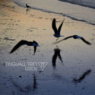 Title: Birds, Artist: Tingvall Trio