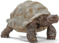 Alternative view 1 of Giant Tortoise