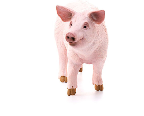 Schleich Farm World Pig