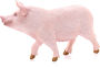 Alternative view 4 of Schleich Farm World Pig