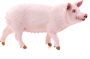 Alternative view 5 of Schleich Farm World Pig