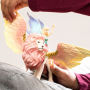 Alternative view 7 of Schleich Bayala Fairy in Flight - Winged Lion