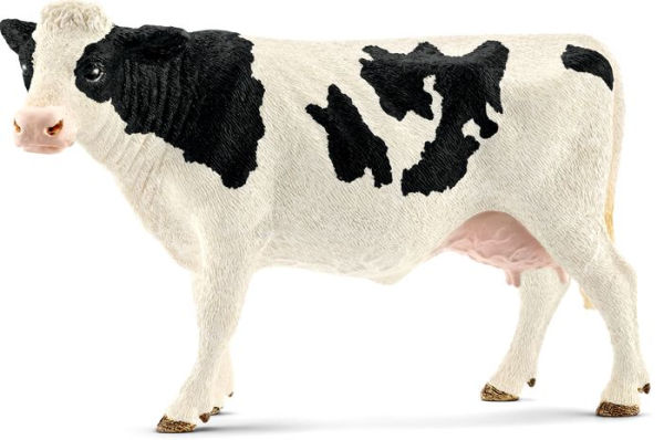 Holstein Cow