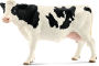 Holstein Cow