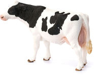 Alternative view 2 of Holstein Cow
