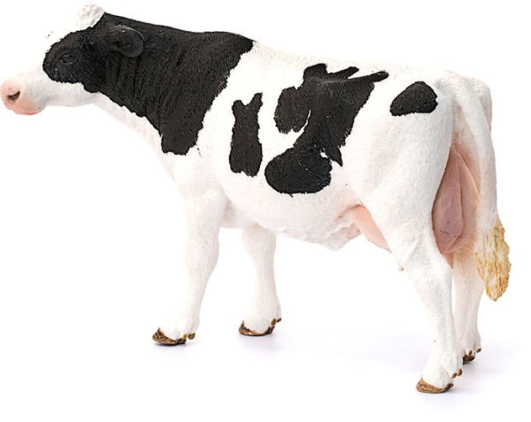 Holstein Cow