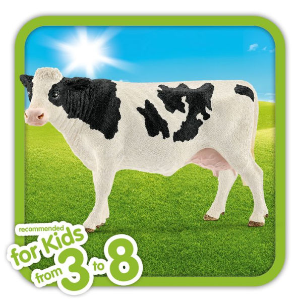 Holstein Cow