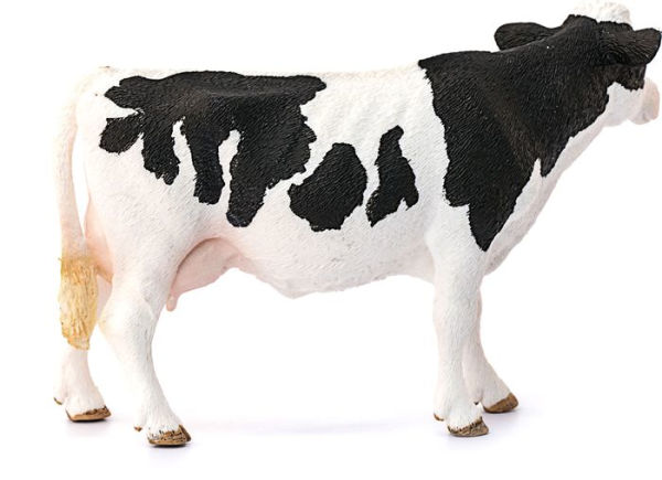 Holstein Cow