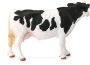 Alternative view 5 of Holstein Cow