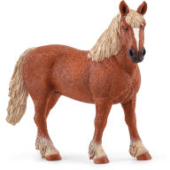 Belgian Broodmare Horse