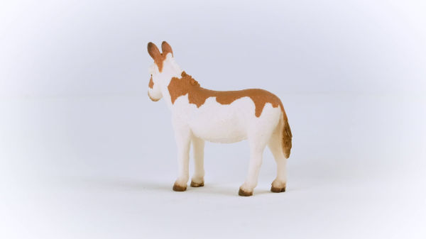 American Spotted Donkey
