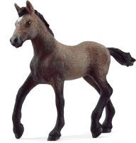 Title: Paso Peruano Foal