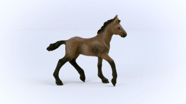 Paso Peruano Foal