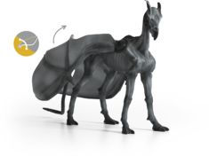 Thestral