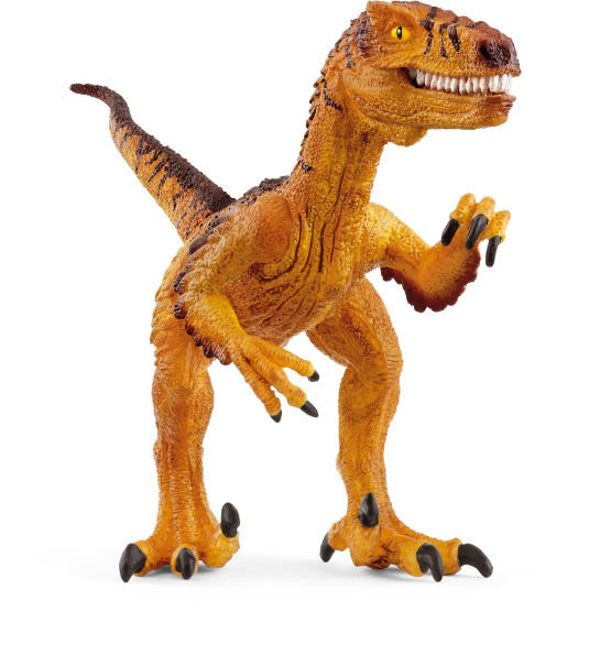 Velociraptor