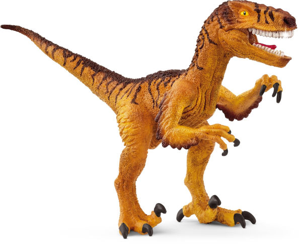 Velociraptor