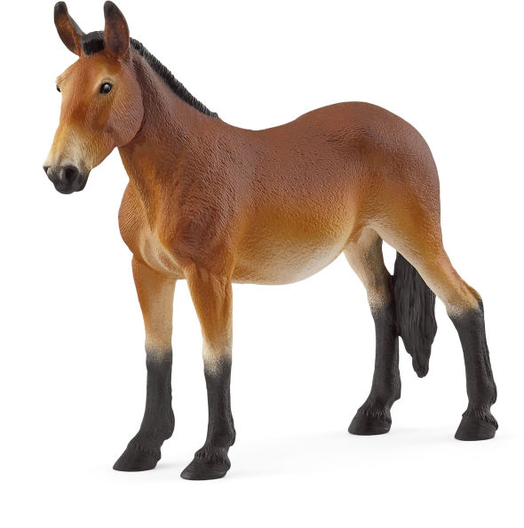 Mule