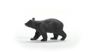 Title: American Black Bear