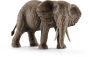 African elephant, female