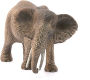 Alternative view 2 of African elephant, female