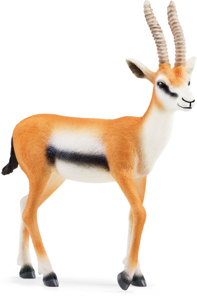 Gazelle