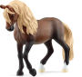 Paso Peruano Stallion