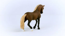 Alternative view 2 of Paso Peruano Stallion