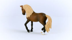 Alternative view 3 of Paso Peruano Stallion