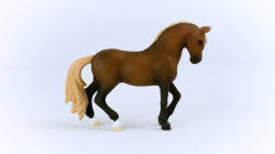 Alternative view 4 of Paso Peruano Stallion
