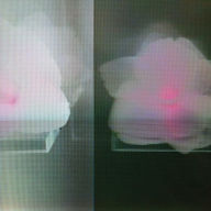 Title: Kept In, Artist: Tommy Vicari