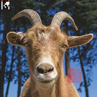 Title: .Dev, Artist: Agoria