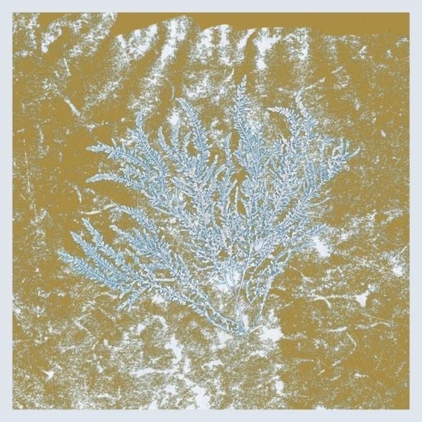 For Those of You Who Have Never (And Also Those Who Have)