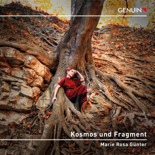 Kosmos und Fragment