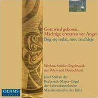 Gott wird geboren, M¿¿chtage erstarren vor Angst (B¿¿g si¿¿ rodzi, moc truchleje)