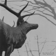 Title: The Mantle, Artist: Agalloch