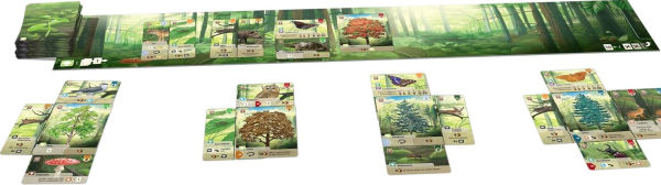 Forest Shuffle by Kosch