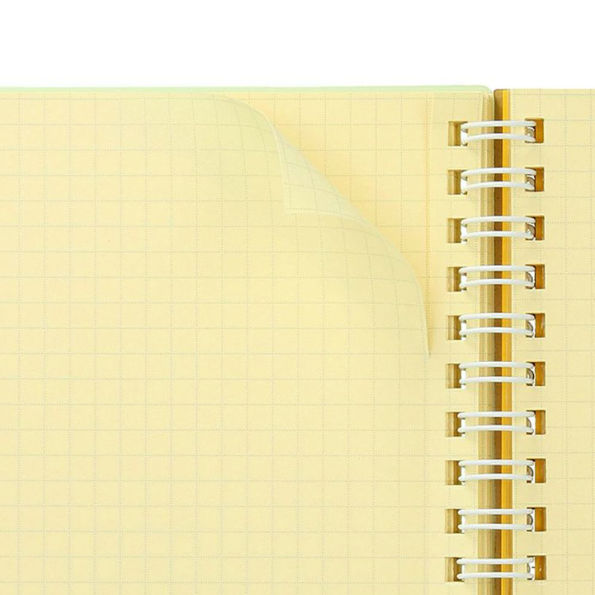 Delfonics Rollbahn Clear Green Notebook - Large