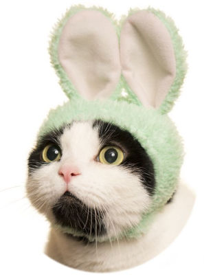 kitan club cat hat