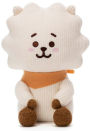 BT21 RJ KNIT PLUSH