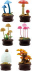 Mushroom Blind Box Assortment