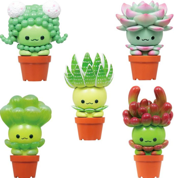 Succulent Friends Blind Box