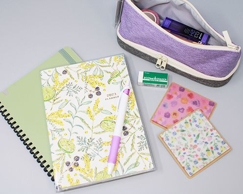 Raymay 2 Layer Pen Case Violet