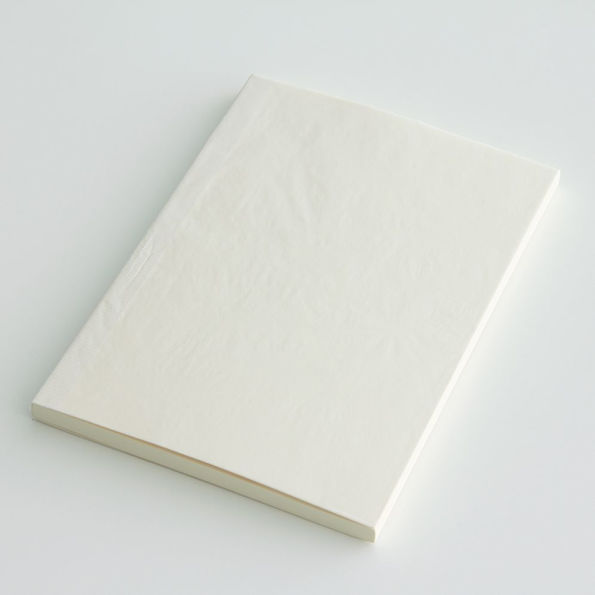 Midori A5 Journal Pages - Dotted