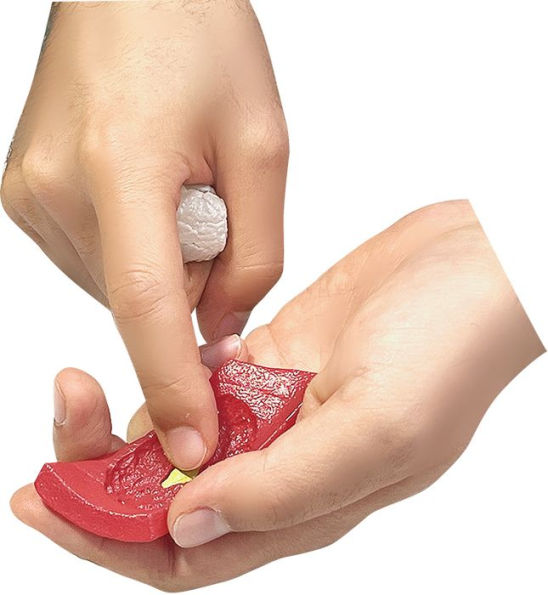 Sushi Puzzle (TUNA ver.) , Megahouse Kaitai Puzzle